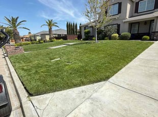 Alaina C.'s lawn service service result