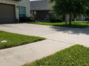 Nadia H.'s lawn maintenance service result