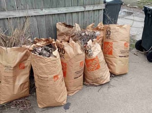 Jean S.'s Leaf Removal service result
