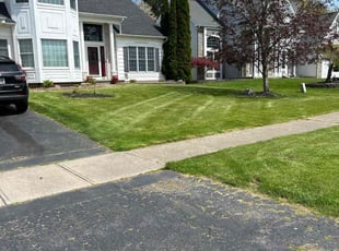 Kendall F.'s lawn maintenance service result