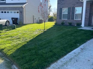 Joslyn R.'s yard maintenance service result