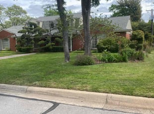 Jemps s.'s turf care service result