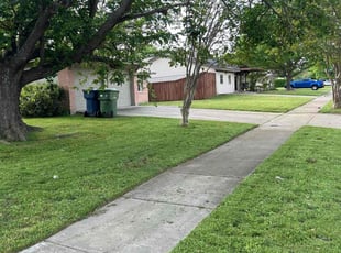 Angela T.'s grass cutting service result
