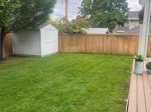 Bisi A.'s turf maintenance service result