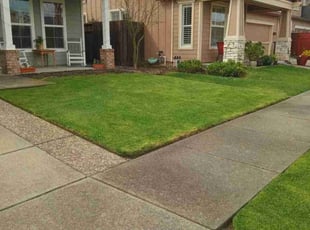 Abbey E.'s turf care service result