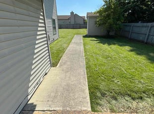 Erica M.'s grass maintenance service result