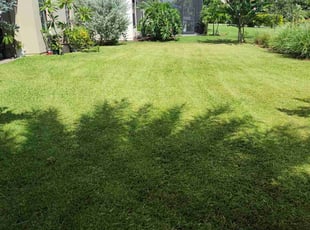 Mark B.'s lawn care service result