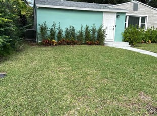 Tyler B.'s grass cutting service result