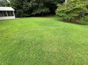 Aimee B.'s lawn care services service result