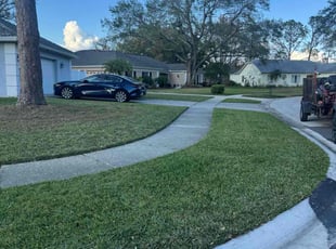 Orlando M.'s turf care service result