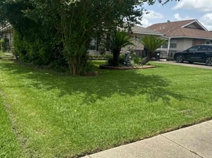 Enjanique M.'s grass cutting service result