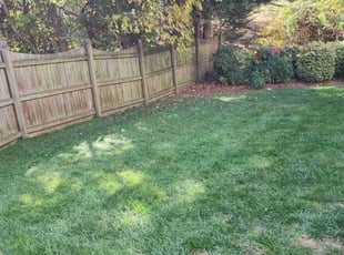 Ron J.'s turf care service result