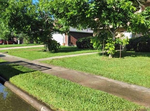 Carla C.'s turf maintenance service result