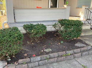 Victor C.'s Bush Trimming service result