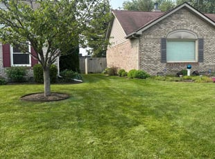April T.'s lawn service service result