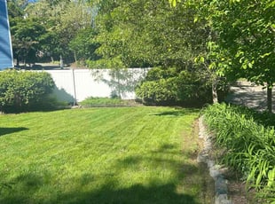 Chelsea N.'s grass cutting service result