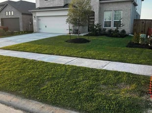 Matthew P.'s grass maintenance service result