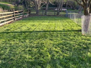 Robert H.'s turf maintenance service result