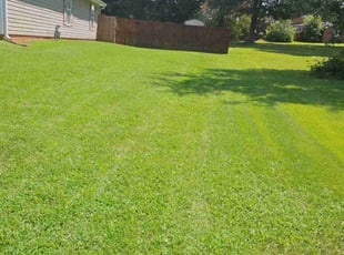 Daniel A.'s lawn service service result