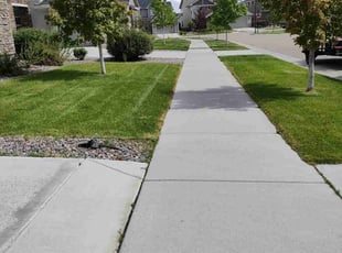 Ken C.'s lawn care service result