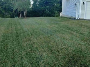 Vena T.'s yard care service result