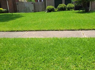 G H.'s grass maintenance service result
