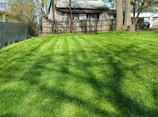 Joanne M.'s grass cutting service result
