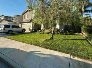 John B.'s lawn service service result