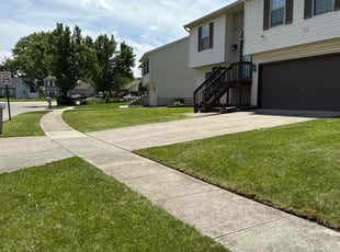 Paula M.'s lawn care service result