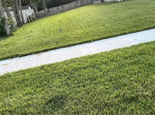 Kelly I.'s lawn care service result