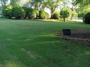 Sharon M.'s turf maintenance service result