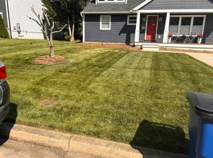 Madi S.'s lawn care services service result