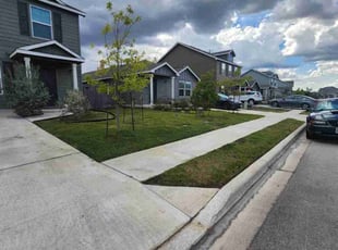 Deborah B.'s lawn service service result