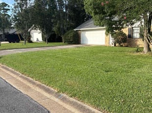 Ryan O.'s turf care service result