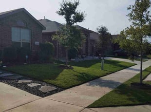 Andrew S.'s turf maintenance service result