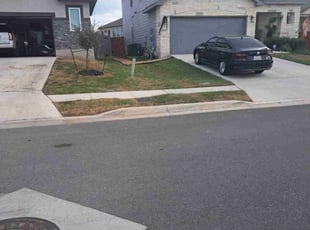 George G.'s grass maintenance service result