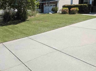 Sarah B.'s grass cutting service result