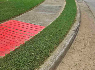 Latoya L.'s grass cutting service result
