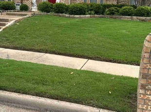 Chris K.'s lawn service service result