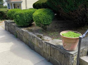 Chelsea M.'s landscaping service result