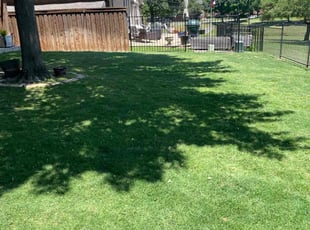 Kevon K.'s lawn maintenance service result