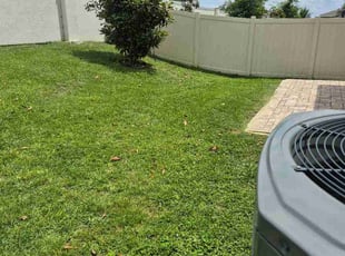 Paulette C.'s lawn service service result