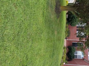 Molly H.'s lawn care services service result