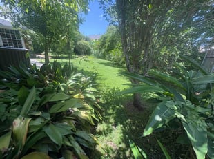 Nathan L.'s grass cutting service result