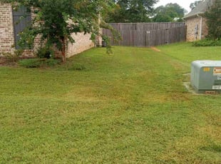 Warren C.'s lawn care services service result