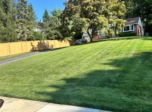 Marcel B.'s lawn maintenance service result