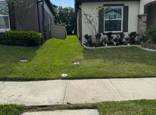 Mari N.'s grass maintenance service result