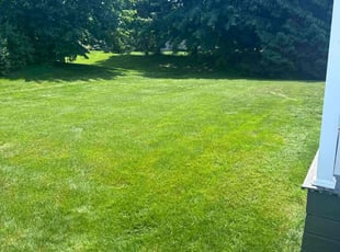 Samantha P.'s grass maintenance service result