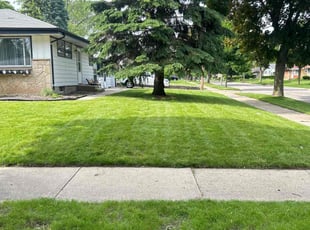 Tana K.'s turf maintenance service result