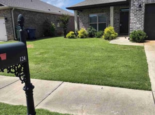 Craig K.'s grass cutting service result